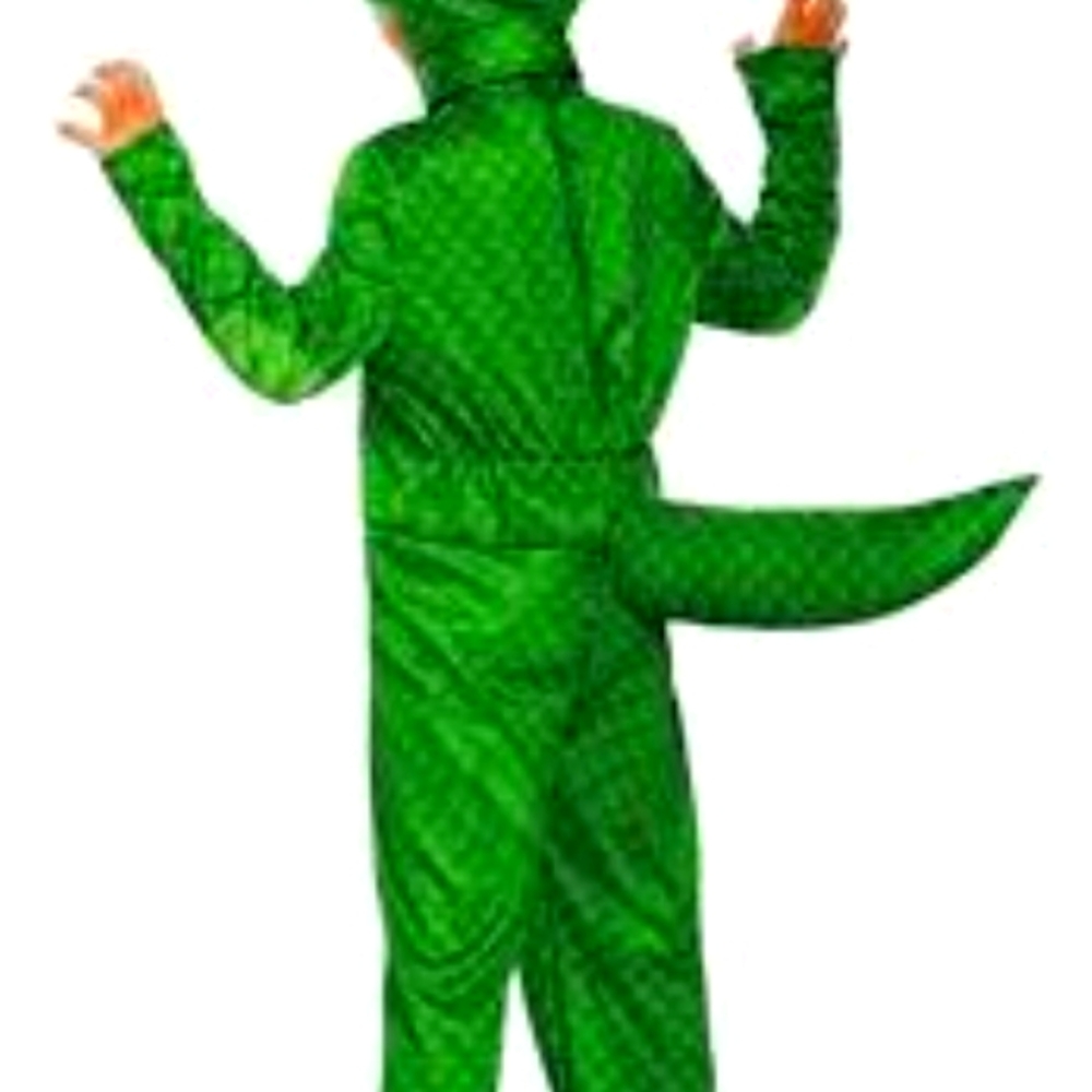 Halloween boys  PJ MASK Gecko attire